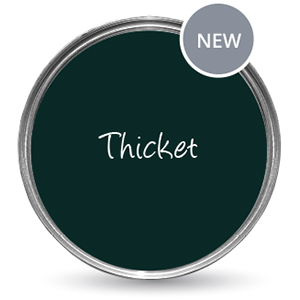 thicket