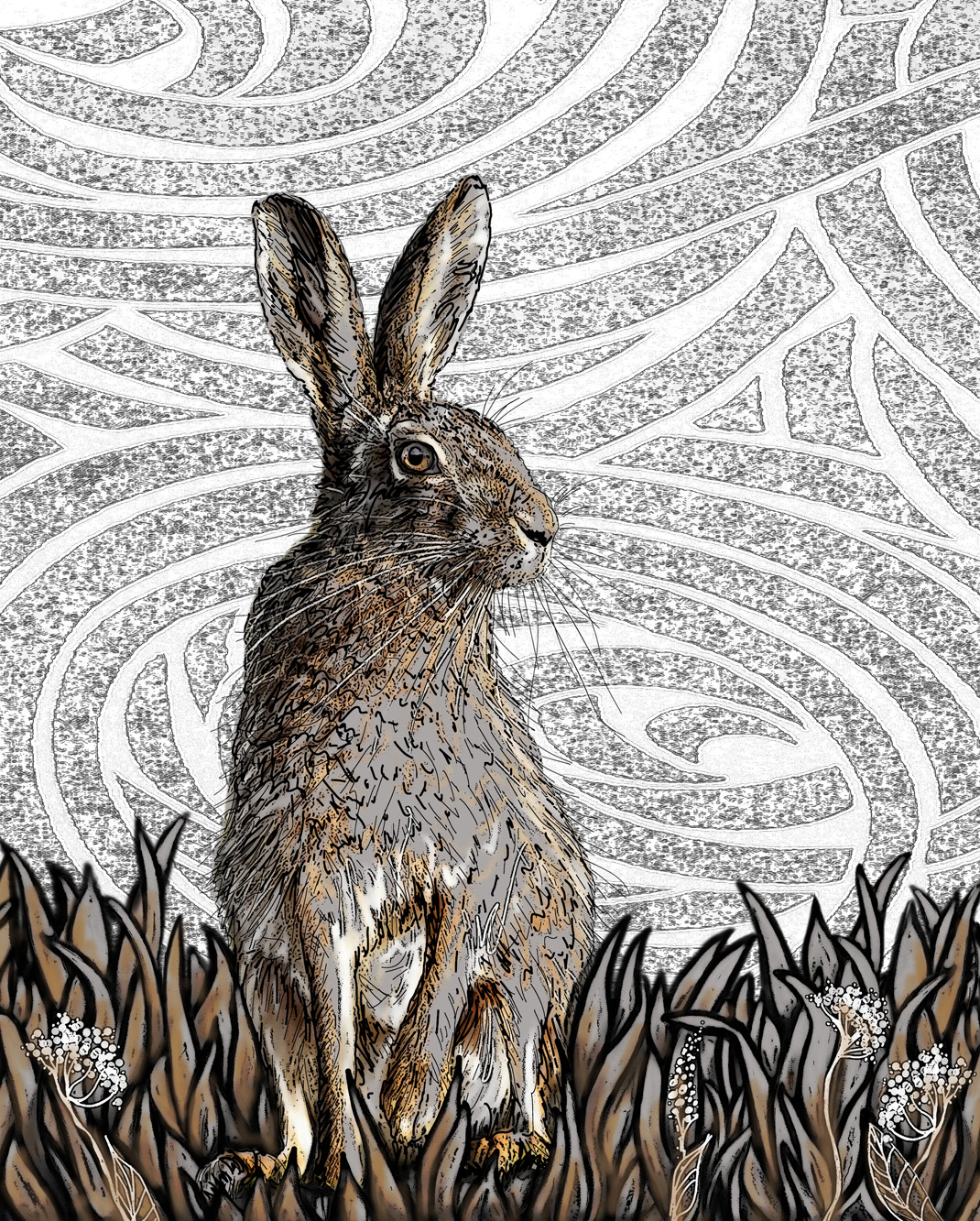 HARES 600×750