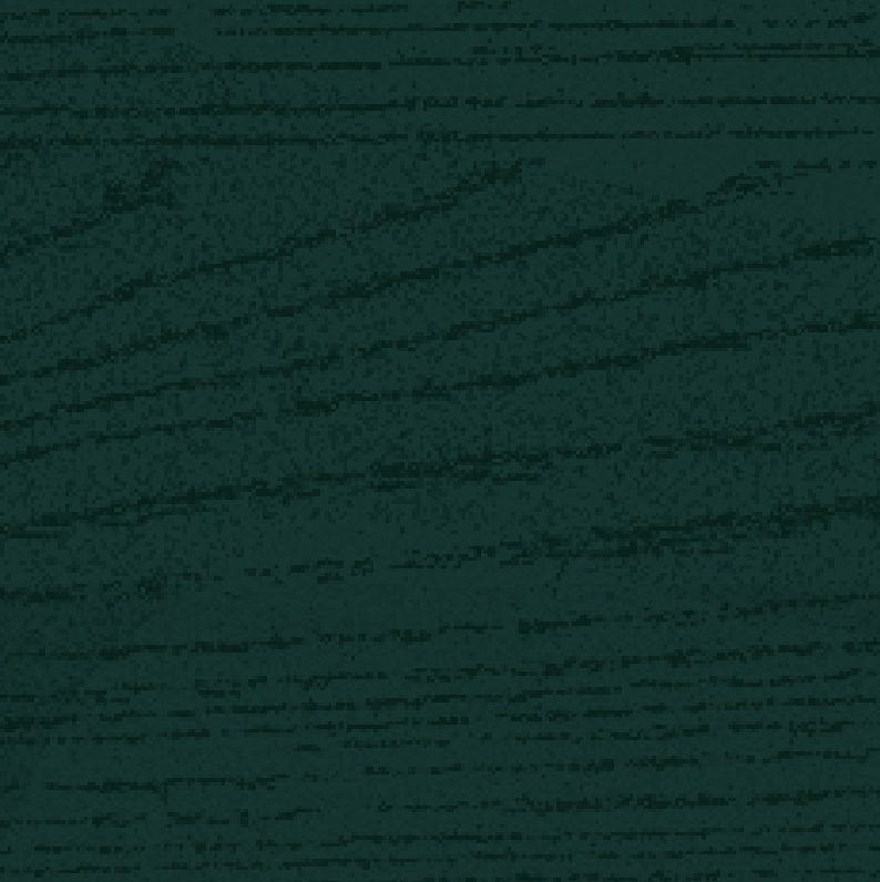tjicket Thicket