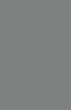 Matt Dust Grey
